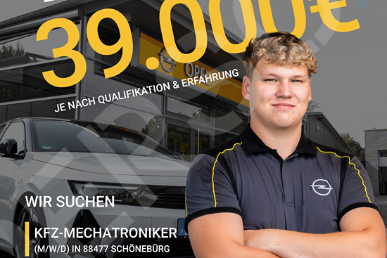 Wir suchen eine/n KFZ Mechatroniker (m/w/d)